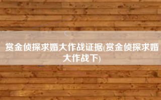 赏金侦探求婚大作战证据(赏金侦探求婚大作战下)