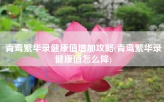青鸾繁华录健康值增加攻略(青鸾繁华录健康值怎么降)