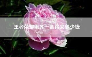 王者荣耀集齐一套铭文多少钱