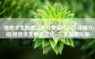 绝地求生刺激战场月夜模式玩法详情介绍(绝地求生刺激战场pubg美服国际服)