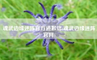 魂武边缘迷阵官方道歉信(魂武边缘迷阵官网)