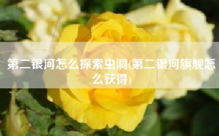 第二银河怎么探索虫洞(第二银河旗舰怎么获得)