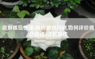 逗游孤岛惊魂4离线游戏闪退,如何评价孤岛惊魂4这款游戏