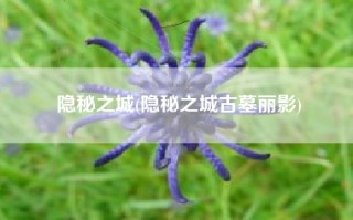 隐秘之城(隐秘之城古墓丽影)