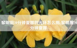 黎明前20分钟夏娜的光环怎么用(黎明前20分钟夏娜)