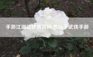 手游江湖武侠传官网,想玩下武侠手游