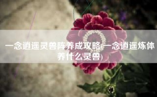 一念逍遥灵兽阵养成攻略(一念逍遥炼体养什么灵兽)