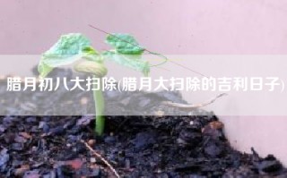 腊月初八大扫除(腊月大扫除的吉利日子)