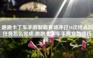 跑跑卡丁车手游制霸赛场冲过10次终点的任务怎么完成(跑跑卡丁车手游宠物排行榜)