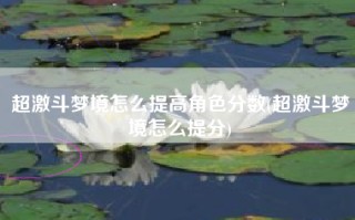 超激斗梦境怎么提高角色分数(超激斗梦境怎么提分)