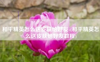 和平精英怎么送皮肤给好友-(和平精英怎么送皮肤给好友教程)