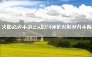 火影忍者手游1216,如何评价火影忍者手游