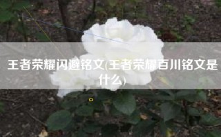 王者荣耀闪避铭文(王者荣耀百川铭文是什么)