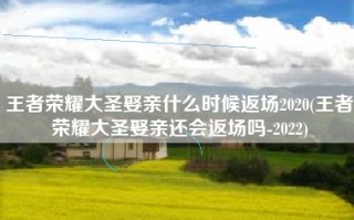王者荣耀大圣娶亲什么时候返场2020(王者荣耀大圣娶亲还会返场吗-2022)