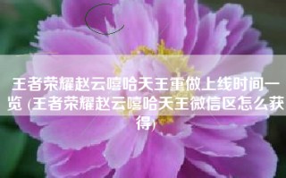 王者荣耀赵云嘻哈天王重做上线时间一览 (王者荣耀赵云嘻哈天王微信区怎么获得)