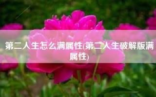第二人生怎么满属性(第二人生破解版满属性)