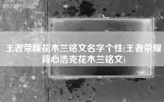 王者荣耀花木兰铭文名字个性(王者荣耀背心浩克花木兰铭文)
