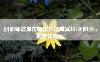 阴阳师彼岸花新皮肤彼岸冥川(阴阳师sp彼岸花御魂)
