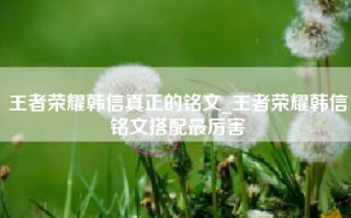 王者荣耀韩信真正的铭文_王者荣耀韩信铭文搭配最厉害