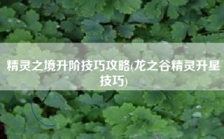 精灵之境升阶技巧攻略(龙之谷精灵升星技巧)