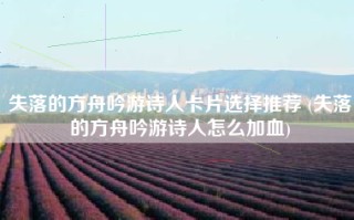 失落的方舟吟游诗人卡片选择推荐 (失落的方舟吟游诗人怎么加血)