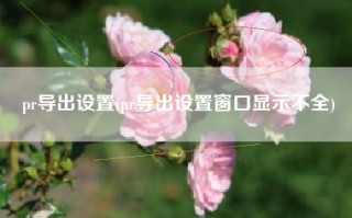 pr导出设置(pr导出设置窗口显示不全)
