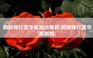 阴阳师红莲华冕加点推荐(阴阳师红莲华冕剧情)