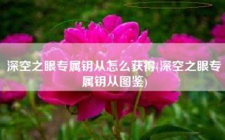 深空之眼专属钥从怎么获得(深空之眼专属钥从图鉴)
