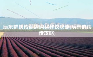 辰东群侠传商店购买建议攻略(辰东群侠传攻略)