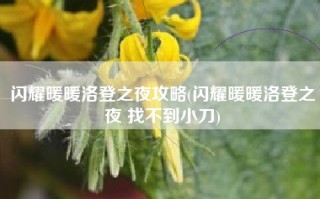 闪耀暖暖洛登之夜攻略(闪耀暖暖洛登之夜 找不到小刀)