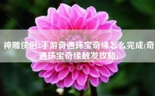 神雕侠侣2手游奇遇珠宝奇缘怎么完成(奇遇珠宝奇缘触发攻略)