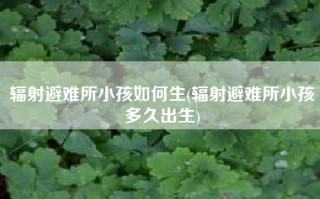 辐射避难所小孩如何生(辐射避难所小孩多久出生)