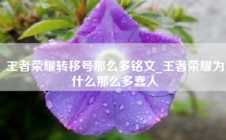 王者荣耀转移号那么多铭文_王者荣耀为什么那么多蠢人