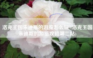 洛克王国朱迪斯的游览怎么玩 (洛克王国朱迪斯的游览攻略第二站)