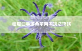 镇魔曲手游希望苗圃玩法攻略