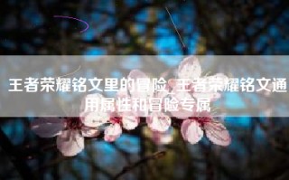 王者荣耀铭文里的冒险_王者荣耀铭文通用属性和冒险专属