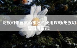 龙族幻想言灵药水怎么使用攻略(龙族幻想猎鹰言灵)