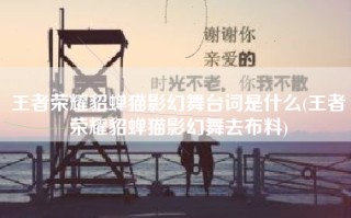 王者荣耀貂蝉猫影幻舞台词是什么(王者荣耀貂蝉猫影幻舞去布料)