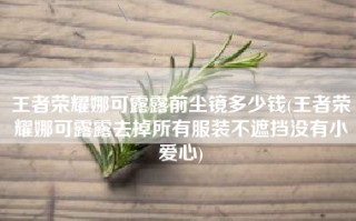 王者荣耀娜可露露前尘镜多少钱(王者荣耀娜可露露去掉所有服装不遮挡没有小爱心)
