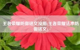 王者荣耀防御铭文没用(王者荣耀法术防御铭文)