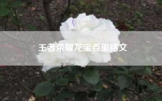 王者荣耀龙宝百里铭文
