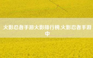 火影忍者手游火影排行榜,火影忍者手游中