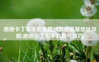 跑跑卡丁车手游集赞领紫色流星地址攻略(跑跑卡丁车手游集气技巧)