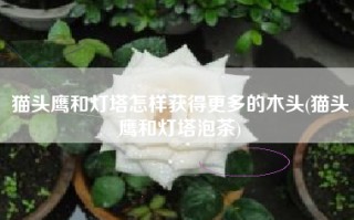 猫头鹰和灯塔怎样获得更多的木头(猫头鹰和灯塔泡茶)