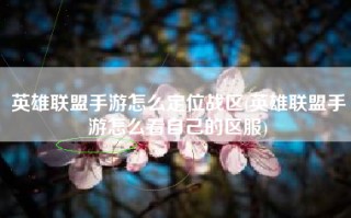 英雄联盟手游怎么定位战区(英雄联盟手游怎么看自己的区服)