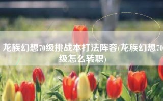 龙族幻想70级挑战本打法阵容(龙族幻想70级怎么转职)