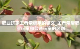 职业玩家王者荣耀用的铭文_王者荣耀职业玩家和普通玩家的区别