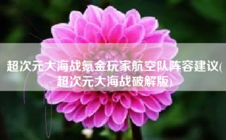 超次元大海战氪金玩家航空队阵容建议(超次元大海战破解版)