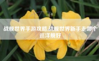 战舰世界手游攻略,战舰世界新手走哪个巡洋舰好