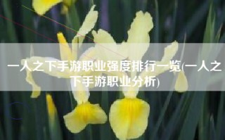 一人之下手游职业强度排行一览(一人之下手游职业分析)